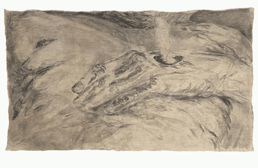 Рана гоїться чи зростає