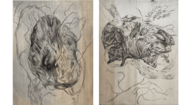 Is It Possible To Protect The Whole World From The Tumor Of Darkness?