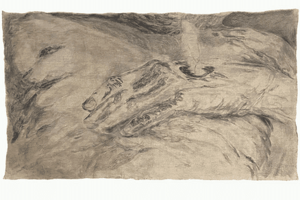 Поліна Щербина